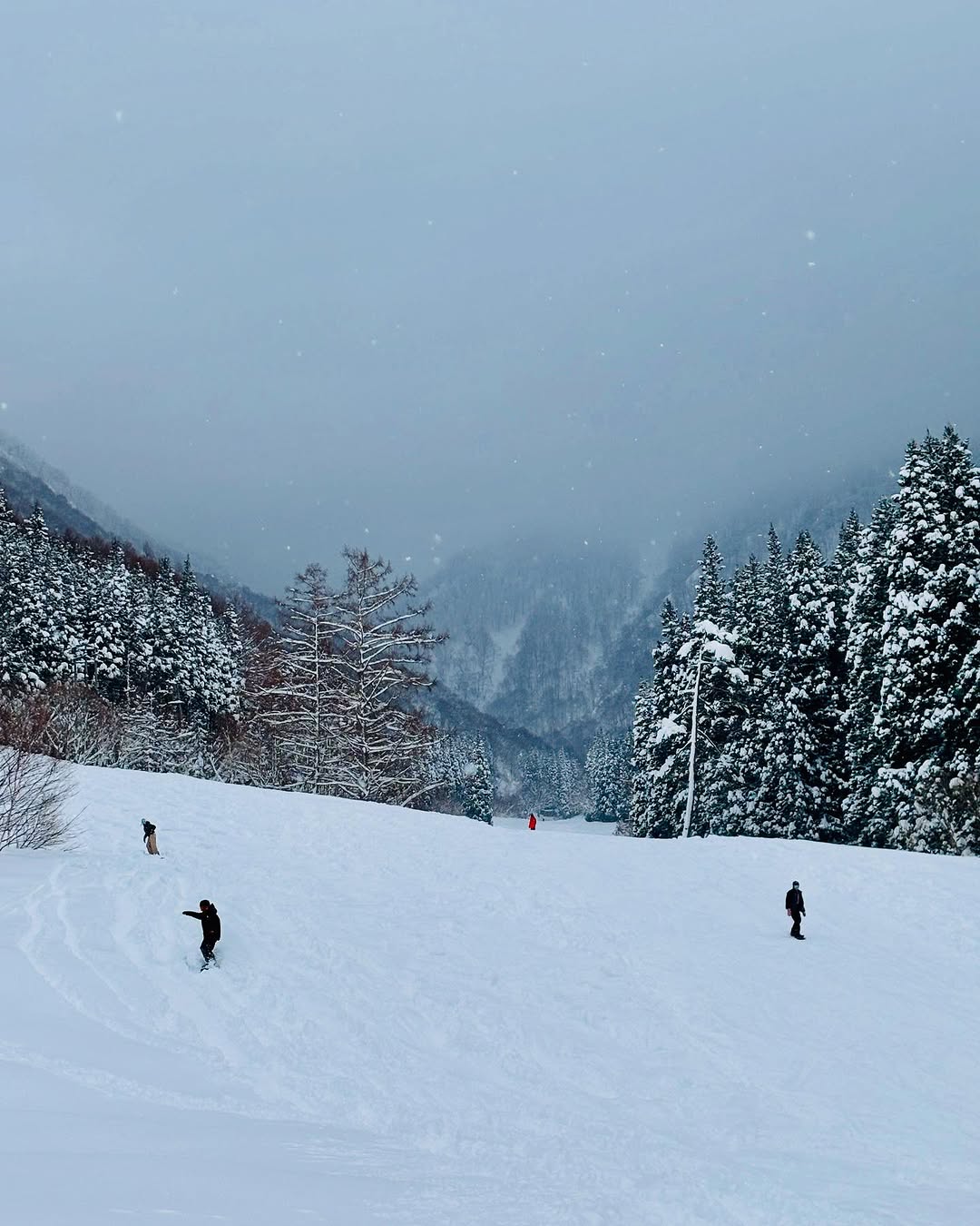 Karasawa's open wide slopes