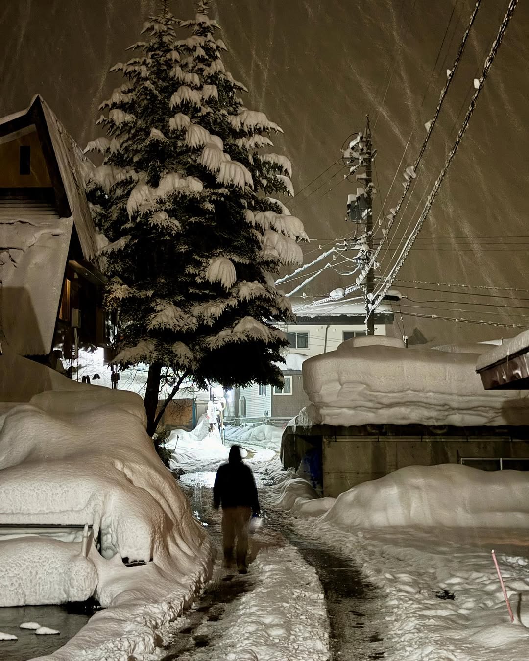 Another Magic Foot plus of fresh snow over night in Nozawa