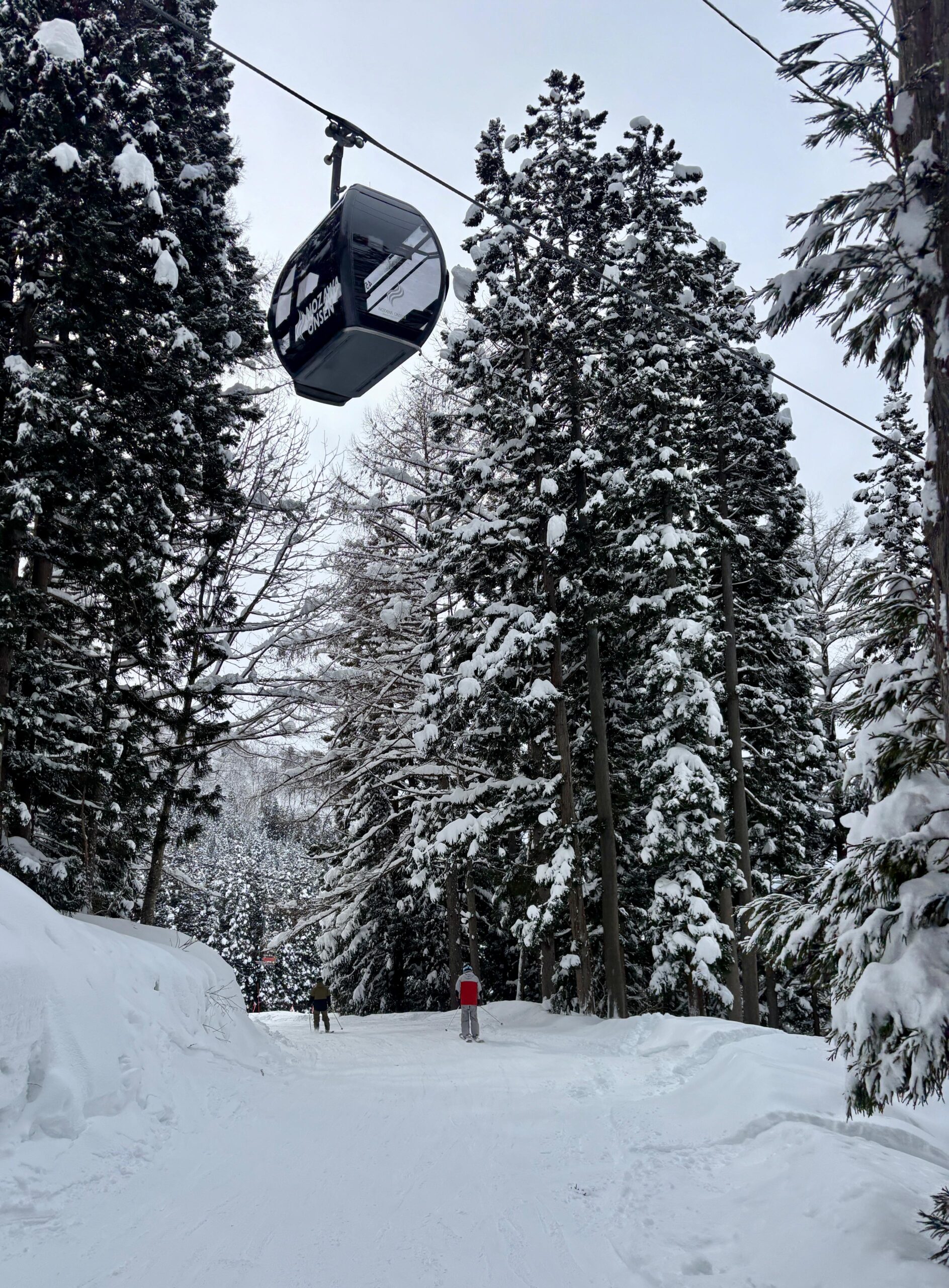 Nagasaka Gondola taking skiers and snowboarders up the mountain in the winter, and cyclists and hikers in the summer!