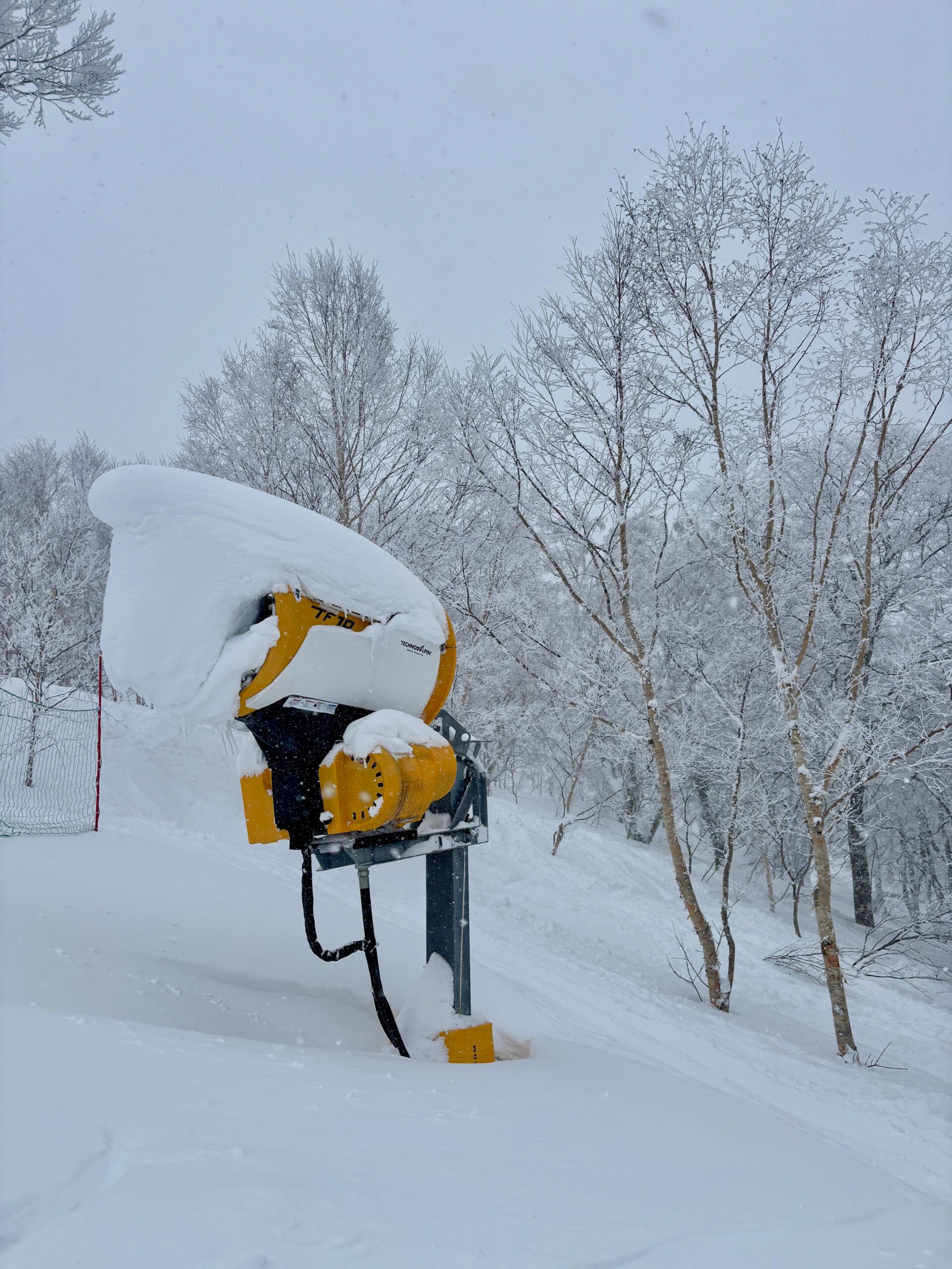 The groomers have been working tirelessly, ensuring everyone can make the most of these incredible conditions. 