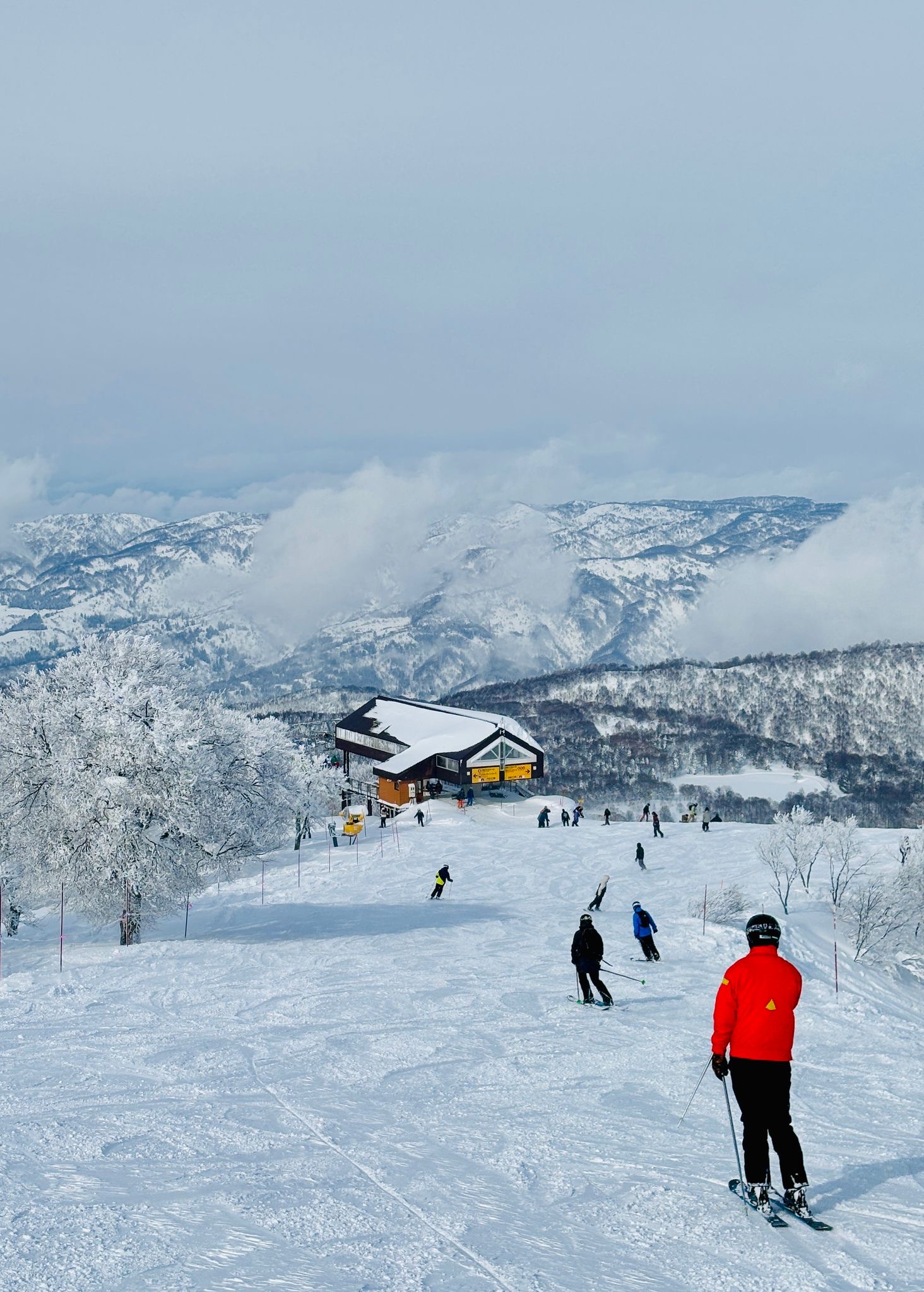 A little ray of sunshine for Nozawa
