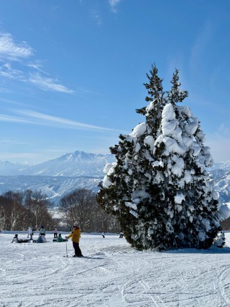 Great conditions on the horizon shaping up for the end of this season